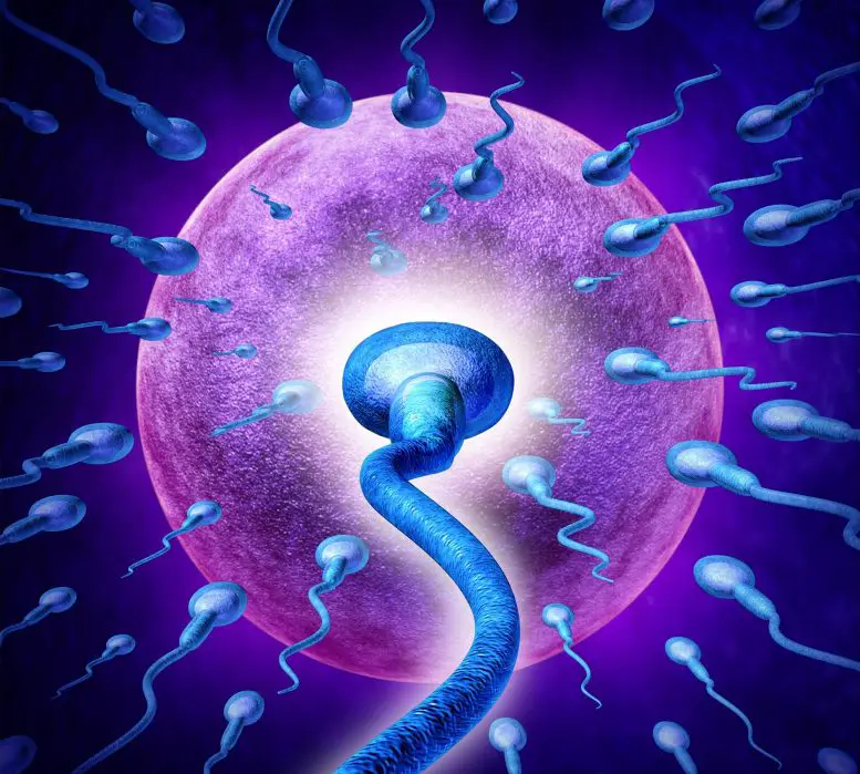 Male Reproductive Care. Skyway Exports. Count Bestz