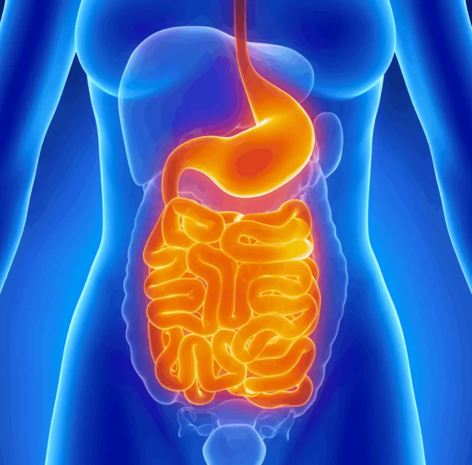 Anq cools Capsules for good Blood Circulation. Skyway Exports